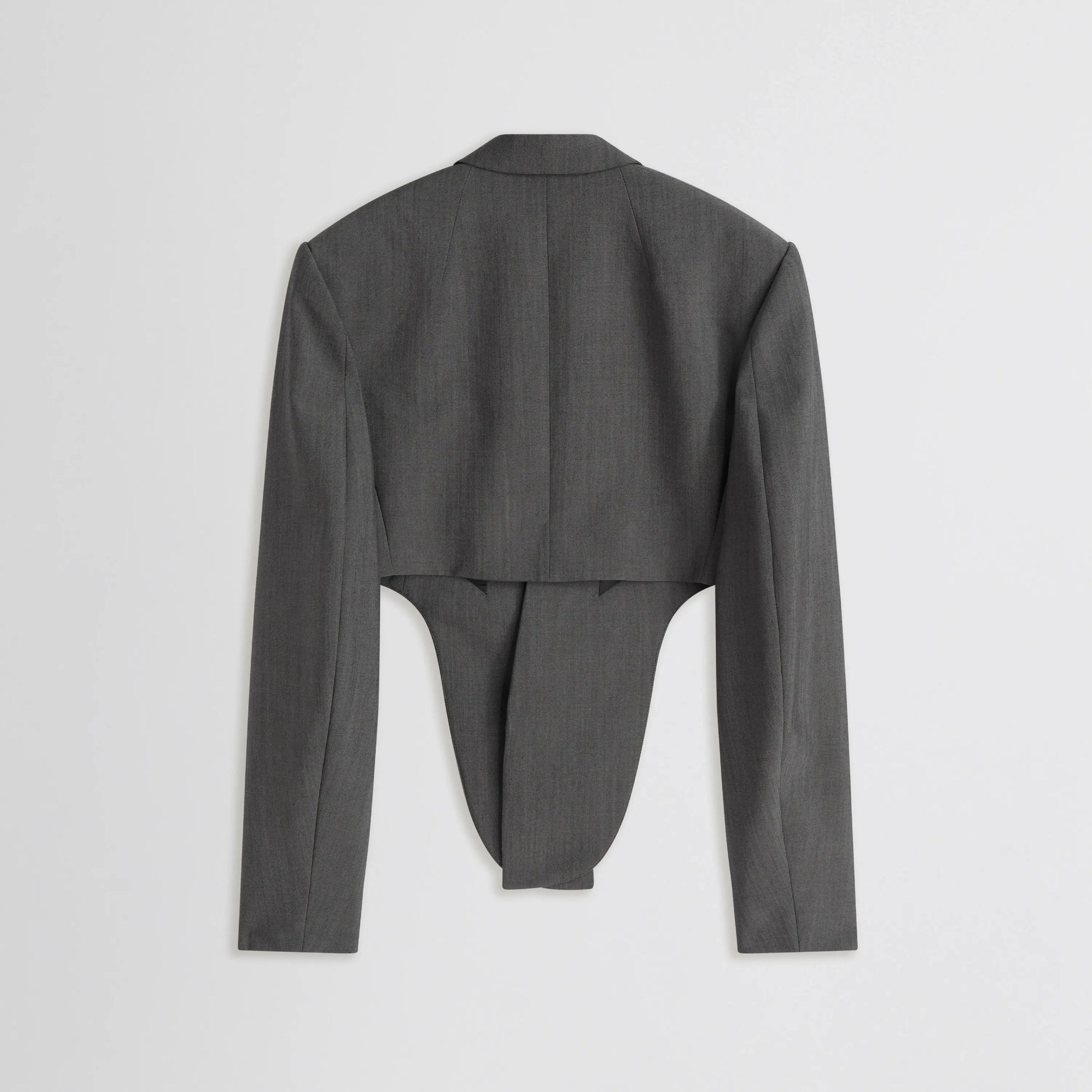 Back flat lay view of Tucked Tailored Jacket in dark taupe.